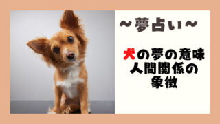 犬　夢占い