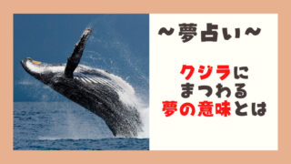 夢占いクジラ