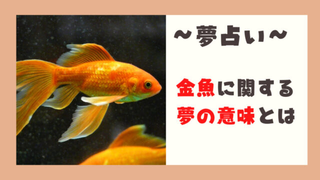 金魚　夢占い